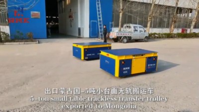 Carrello di trasferimento senza traccia personalizzato