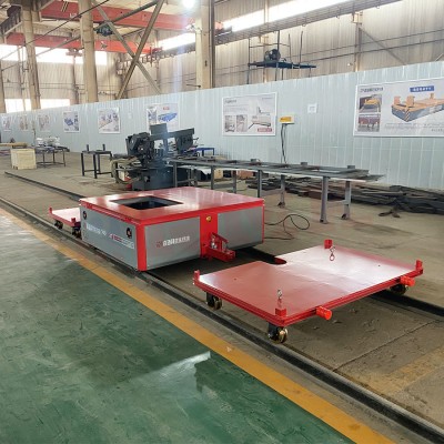 2 tonnellate Traction Automated Track RGV